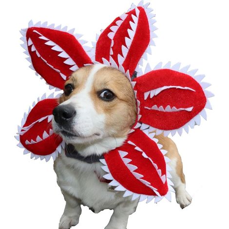 Chapeau de Déguisement d'Halloween pour Chien et Chat Demogorgon - Costume d'Halloween pour Chien et Chat - Cosplay DIY - Adorable C (1/5)