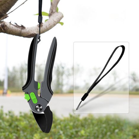 Sécateur de jardin pour arbres fruitiers, ciseaux économiques avec rainures antidérapantes pour taille et entretien (1/5)
