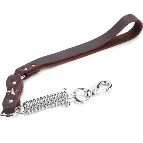 Laisse Pour Chien En Cuir Et Métal Avec Ressort Anti-Rupture Pour Promenade Extérieure - 1 Pièce (1/5)