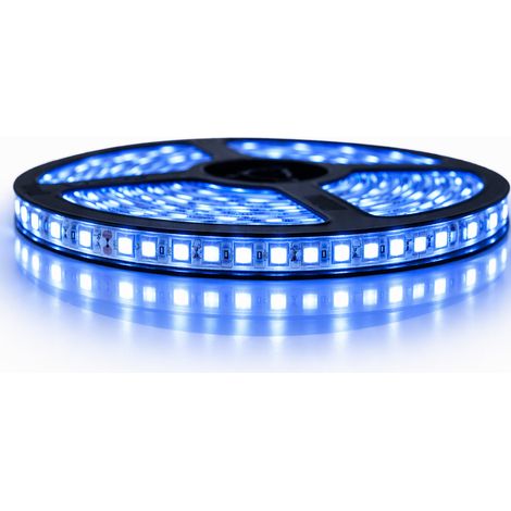 Kit de cinta profesional 3528 - 120 leds/m - 5 metros azul anti-salpicaduras (IP65)  Longitud: 5 metros - Transformador: Fuente de alimentación incluida