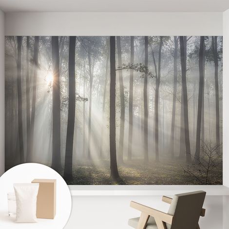Tapete Vliestapete mit Kleber - trendige Wanddeko - elegant Fototapete für Wohnzimmer - Schlafzimmer Ätherischer Wald 152x104 cm (1/5)