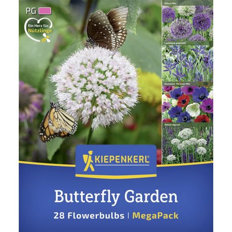 Kiepenkerl Herbstblumenzwiebelmischung Mega-Pack Butterfly Garden 28 Stück (1/2)