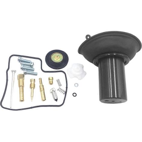 Kit de réparation de carburateur compatible avec les accessoires moto Honda VLX600 Shadow Steed 600 (1994-2003). (1/5)