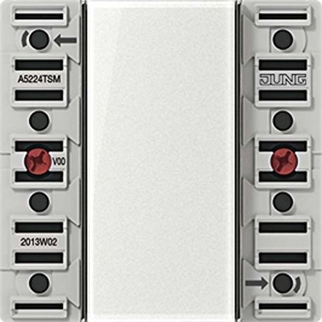 JUNG A5224TSM TASTSENSOR MODULE 24 V AC/D C