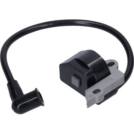 Bobine d'allumage, carburant moteur, haute tension, accessoires pour outils électriques, équipement électrique 530039198 (1/5)