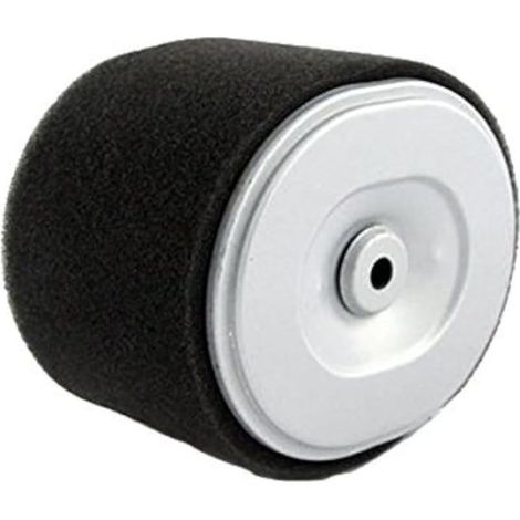 Bienenkorb-Luftfilter als Ersatzteil, passend für HONDA GX240 und GX270 mit 8-PS- und 9-PS-Motor. Neu. Ersetzt die Teilenummern 17210-ZE2-821, 17210-ZE2-822, 17210-ZE2-515 und 17210-ZE2-505.
