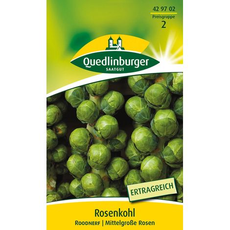 Quedlinburger Saatgut – Chou de Bruxelles Roodnerf – Graines de légumes, variété rustique, pour env. 150 plants (1/2)