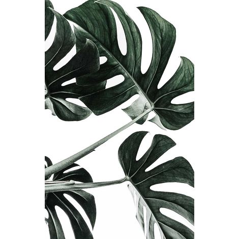Tableau Feuille de monstera - 50x80cm - made in France (1/5)