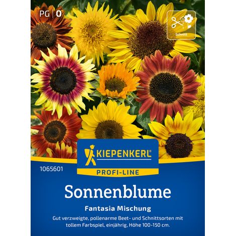 Kiepenkerl Profi-Line Blumensamen Sonnenblumen Fantasia Mischung F1 für ca. 20 Pflanzen