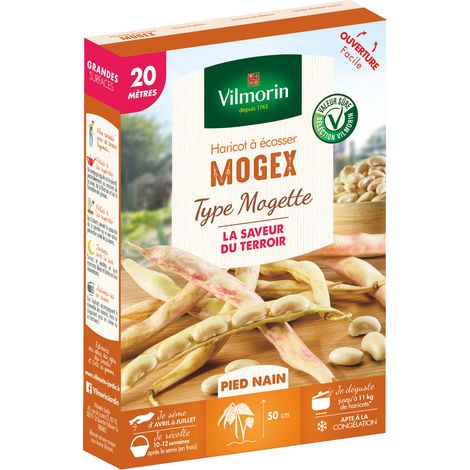 Haricot Nain à Ecosser Mogex (type Mogette) - 20 m Vilmorin
