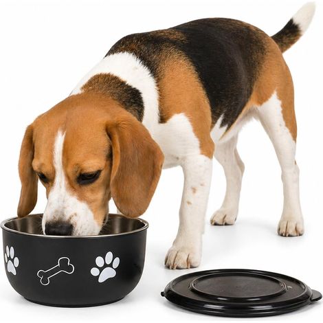 gamelle pour Chien - Noir et Argent avec Couvercle - Taille M - INOX - croquettes Chien - 800 ML (1/5)