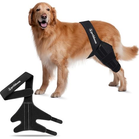 Genouillère pour chien en néoprène ajustable, idéale pour soulager les douleurs articulaires (rupture du LCA, dysplasie de la hanche, arthrite, arthrose et lésions ligamentaires). (1/5)