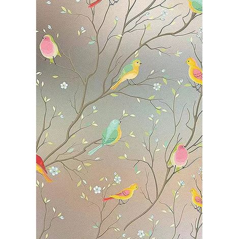 Film Anti-Collision Oiseaux - Film Électrostatique Pour Vitre - Effet Dépoli Anti-Indiscrétion - 60 x 300 cm (1/5)