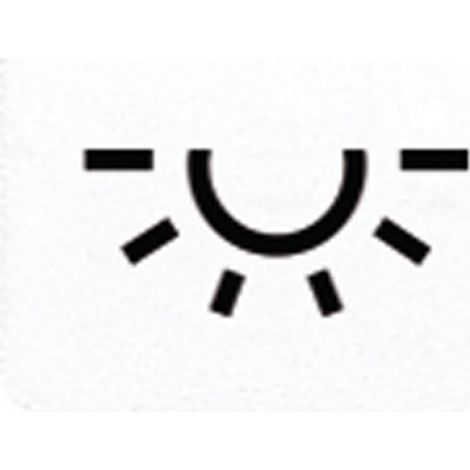 Jung Symbol aws 33 L WW (1/2)