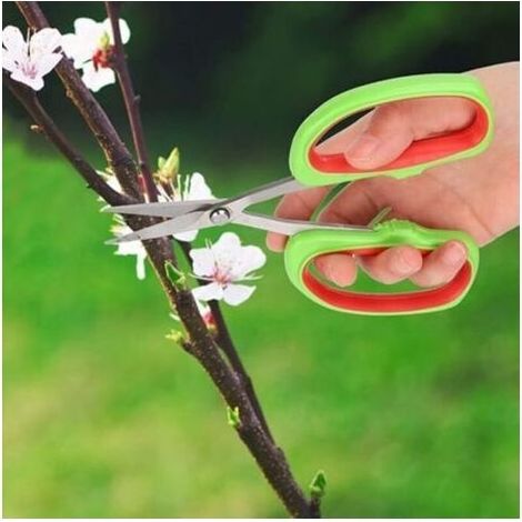 Sécateur Jardinage, Japonais Bonsai Outils De Jardin, Branche D'arbres Fruitiers Coupe Ciseaux Outils De Jardin Raisin Élagage Cisailles (1/3)