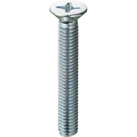 VITE METALLO ZINC. CL. 4.8 CR. mm. 5X60