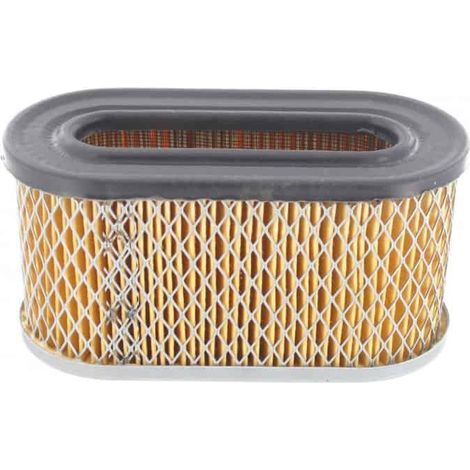 Briggs und Stratton Luftfilter, 491950, 491950S
