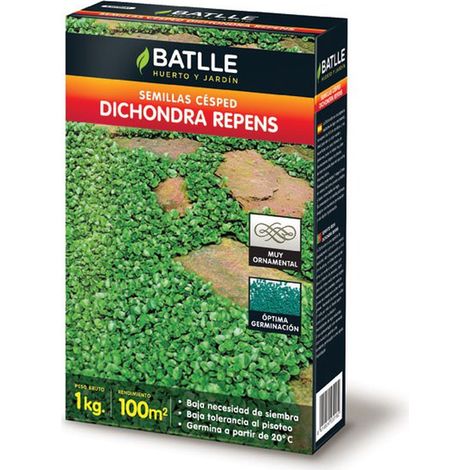 Dichondra Repens (1/5)