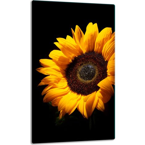 TABLERO DE MESA DE PANEL DE PLACA DE VIDRIO 30x52 FLOR (1/5)