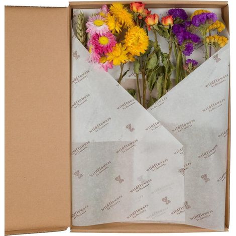 Fleurs Séchées en Coffret Multicolore Lot de 5 Compositions Décoratives Hauteur 30 cm - PANGIVO
