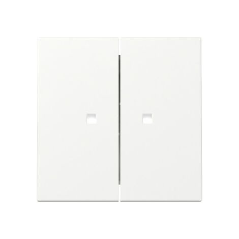 Gira Wippe 363127 2f Kontrollf.Sys.55 rws m
