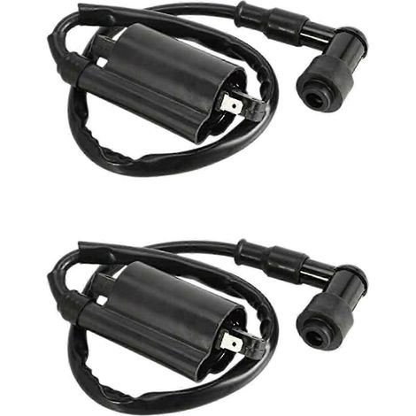 2 bobines d'allumage pour motos compatibles avec GS125, GN125, VX250, Virago 1100, XV1100 et XV-1100 (1995-2007) (1/5)