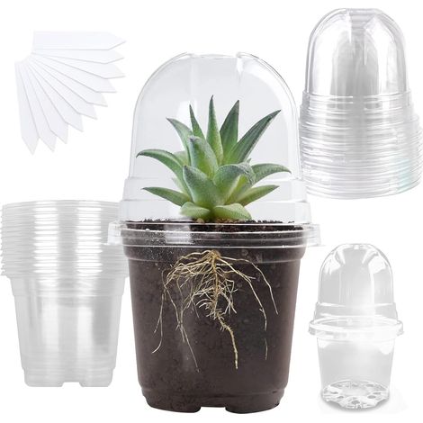 10 x Nursery Pots with Lids, 10 cm Seedling Pot, Transparent Orchid Pot with 10 Labels, Plant Pot with Drainage Holes for Transplanting Seedlings Plants Flowers (1/5)