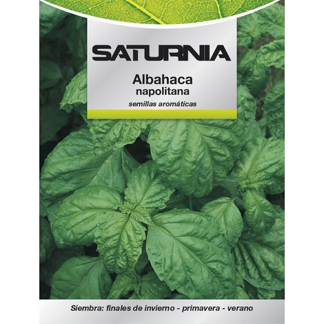 Semi di Basilico Gigante Aromatico (5 grammi) (1/2)