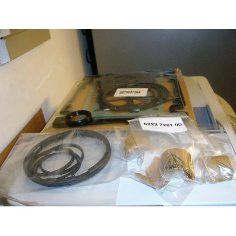 KIT MANUTENZIONE COMPRESSORE GRUPPO POMPANTE ABAC BALMA NUAIR B5900 B 5900 (1/2)