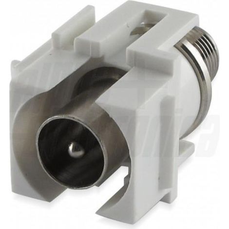Keystone antenna colore bianco tv iec maschio con presa f alpha elettronica 96-134 (1/3)