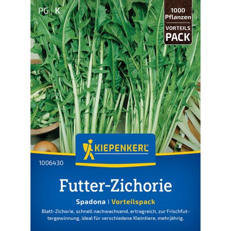 Kiepenkerl Gründünger Futter-Zichorie Spadona Vorteilspackung für ca. 1000 Pflanzen