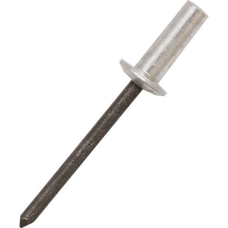 Rivet Aluminium longueur 12.5mm diamètre 6.4mm ( Prix pour Sachet de 50 )