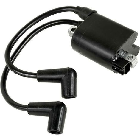 Module de bobine d'allumage haute tension pour voiturette de golf EZ-GO (1/5)