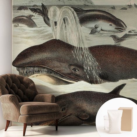Carta Da Parati In Vlies - Fotomurale - Decorazione Paretie - Per Camera Da Letto - Per Soggiorno - Con Colla Gratuita Creature marine 250x250 cm (1/5)