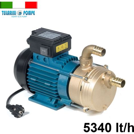 Elettropompa/Pompa da travaso Tellarini 1 HP - EEM30