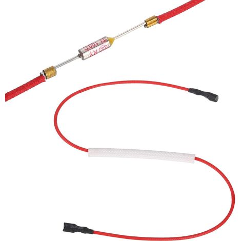 Fusible thermique universel pour cuiseur à riz, 100°C 10A 250V, fusible thermique métallique avec bornes aux deux extrémités et gaine en fibre de verre, pièce de réparation (1/5)