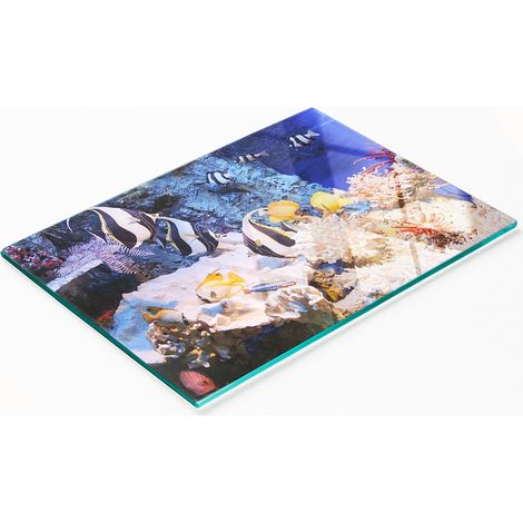 Dekoratives Schneide- und Servierbrett aus Glas, Korallenriff, 80 x 52 cm (1/5)