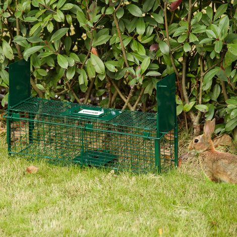 Piège Vivant Cage Attrape 60 x 18 x 20 cm Piège Fouine pour Martres, Souris - 2 entrées + poignée - métal vert, Rats