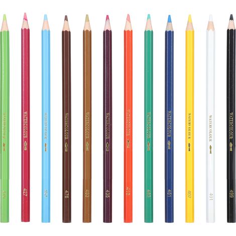 12 Crayons de Couleur Multicolores Hydrosolubles Fer Boîte Enfant Dessin (1/5)