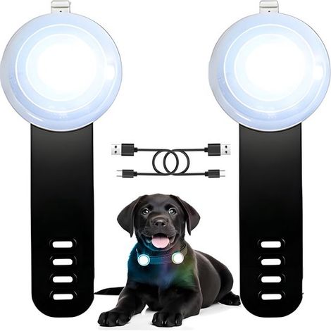 2 lampes LED pour chiens, rechargeables et étanches, lampe de sécurité pour chiens, lampe LED pour animaux de compagnie, collier lumineux, collier réglable (1/5)
