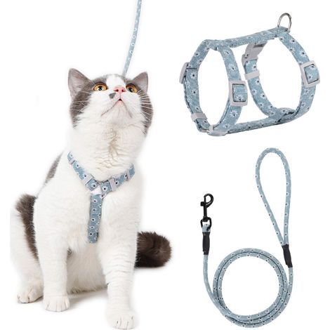 Harnais Chat Réglable Harnais Laisse (Bleu-Vert M) pour Chat Petit Chien en Nylon avec Laisse Résistant à la Sécurité Harnais Veste pour Chiot Chaton des Petits Animaux de Compagnie- (1/5)