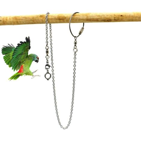 Accessoires pour cage oiseau Perroquet Anneau De Pied en Acier Inoxydable, Chaîne D'anneau De Pied De Perroquet, Chaîne Activité D'ouverture pour Cockatiel Cacatoès Soleil Moine Perruche Oiseau Stand (1/5)