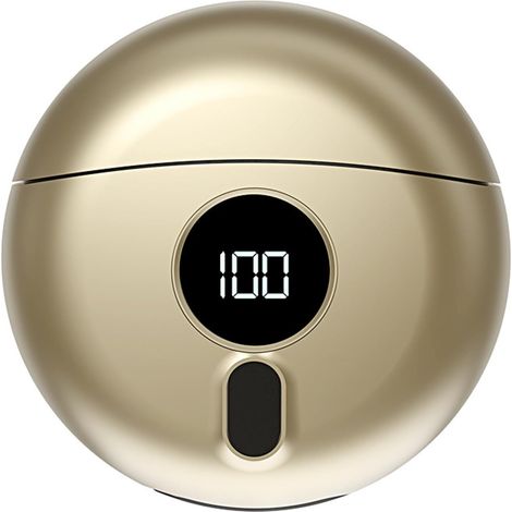 Rasoirs électriques Rasoirs à Barbe Rechargeables sans Fil Tondeuse pour Hommes Charge USB Rapide pour Voyage Usage Domestique Gris Champagne (1/5)