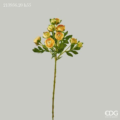 EDG Enzo De Gasperi Ranuncolo Chic H 55 Cm Giallo 1 Pz