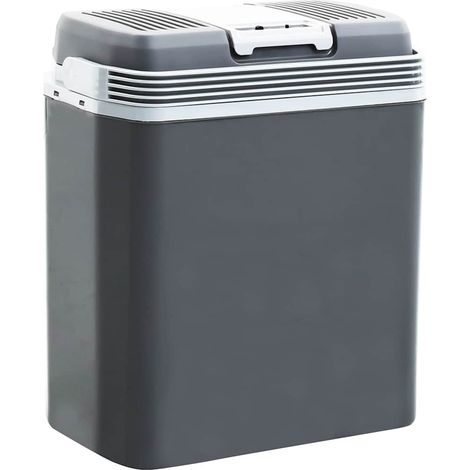 Glacière porTable thermoélectrique 20 L 12 V 230 V E QOI93855 DESIGN IN (1/5)