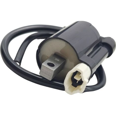 Bobine haute tension pour moto CBR-1000R, bobine d'allumage OE : 129700-4840. Accessoires pour bobine haute tension Honda CBR1000RR, référence 129700-4840. (1/2)