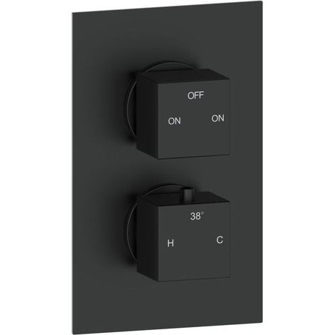 Signature Advance Thermostatic 2 Outlet Concealed Shower Valve Dual Handle - Matt Black (1/2)