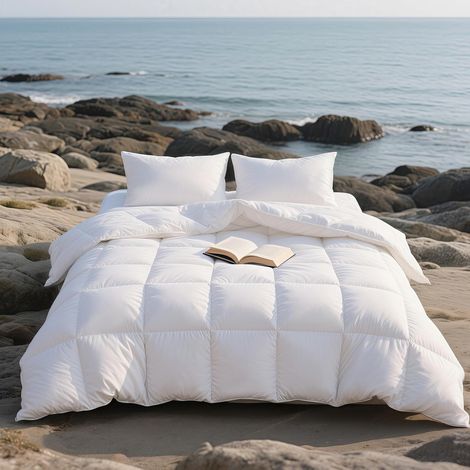 Couette 220x240 4 Saisons 100% Plumes et Duvet Moelleux, Couette 220x240 Tempérée 100% Coton Bio, Edredon Ultra Gonflante, pour Les Personnes Allergiques (1/5)