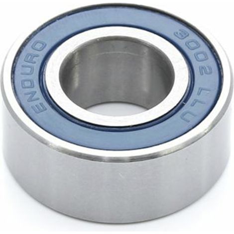3002 Llu - Abec 3 - Double Row (radial) - 15x32x13