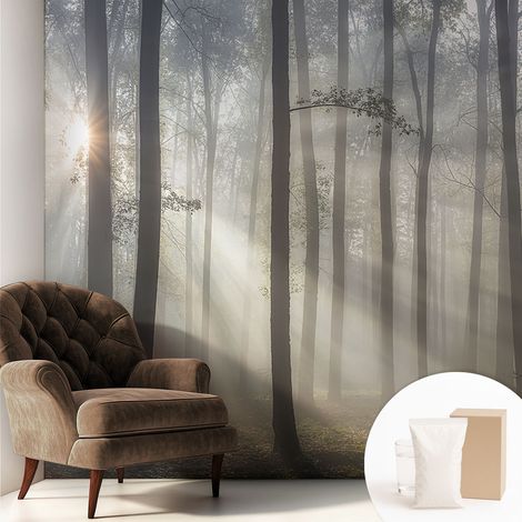 Papier peint intissé pour salon chambre à coucher peint imprimé Installation facile - Colle incluse gratuite Forêt éthérée 250x250 cm (1/5)